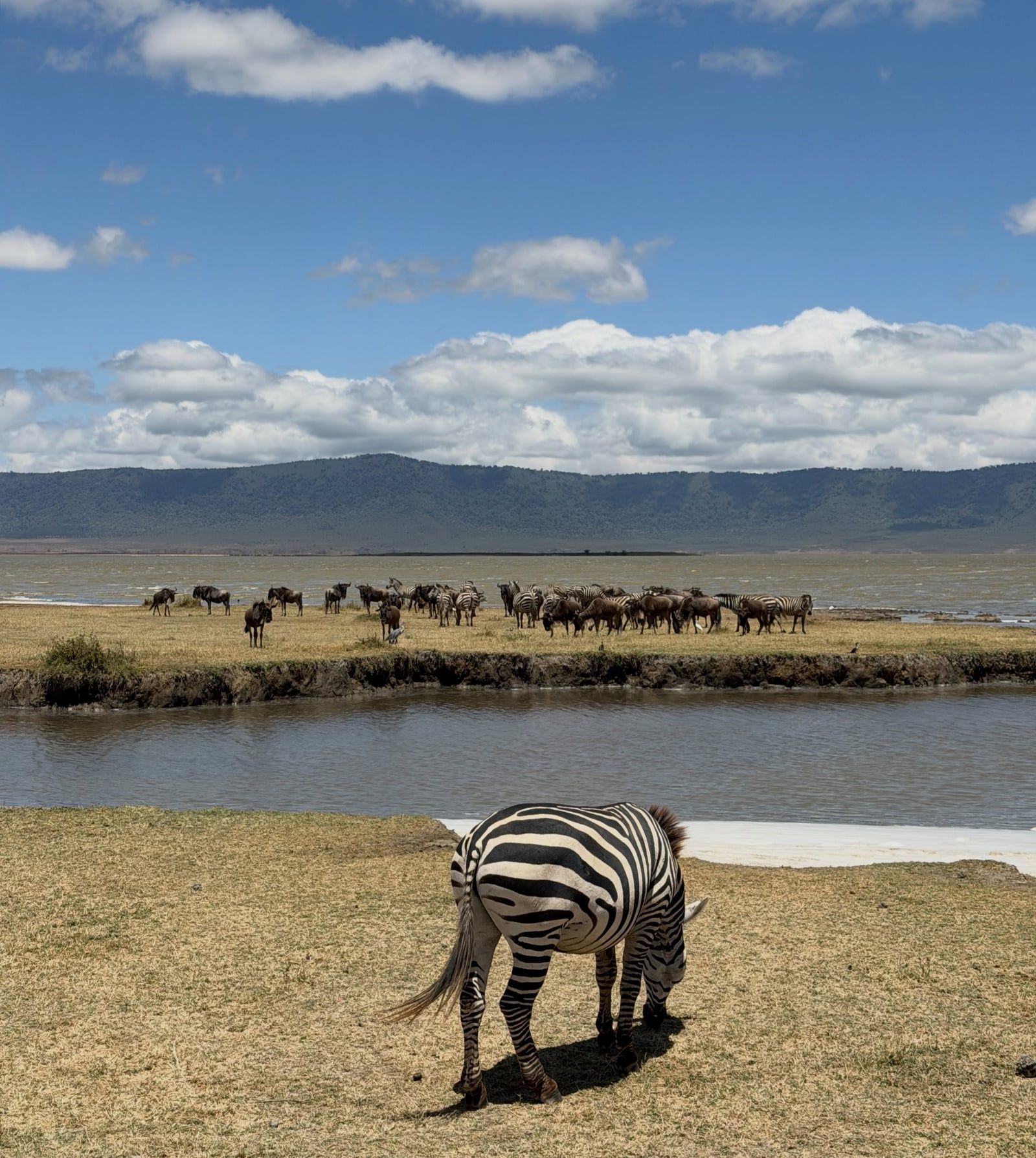 Vue de Parc national d'Etosha