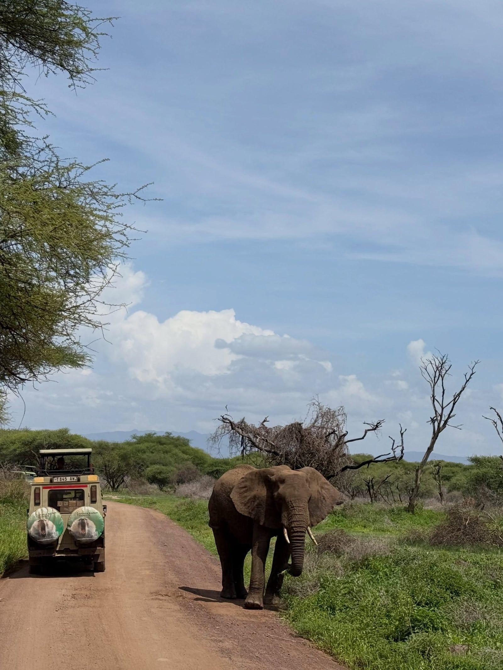 Photo de visiteur d'un circuit à Parc national d'Etosha